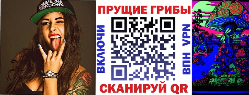 Псилоцибиновые грибы Psilocybe  Энгельс 