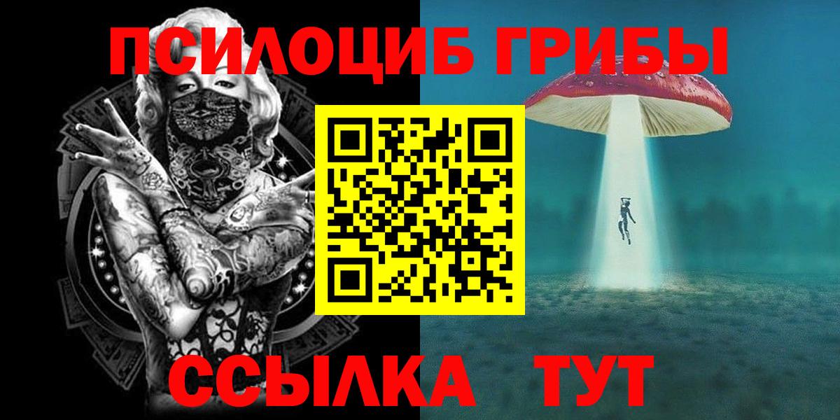 Энгельс  Псилоцибиновые грибы Psilocybe  Галлюциногенные грибы Psilocybine cubensis  Вход с VPN 