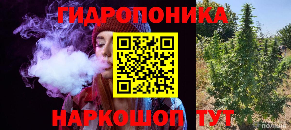 Энгельс  МАРИХУАНА Ganja  Вход с VPN  Марихуана планчик  Бошки марихуана White Widow 